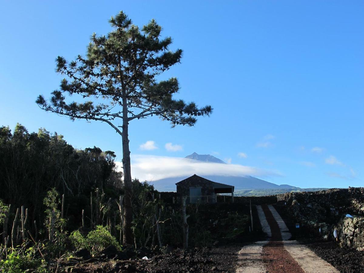 Baco'S Vineyard Villa Lajido ภายนอก รูปภาพ